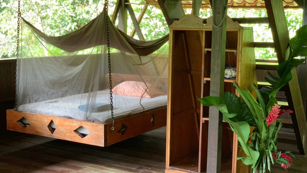 Casa Jungla December 2-8, 2026