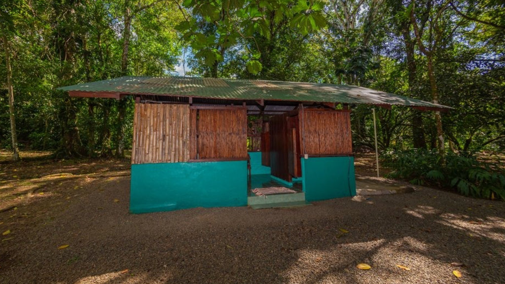 Casa Jungla December 2-8, 2026
