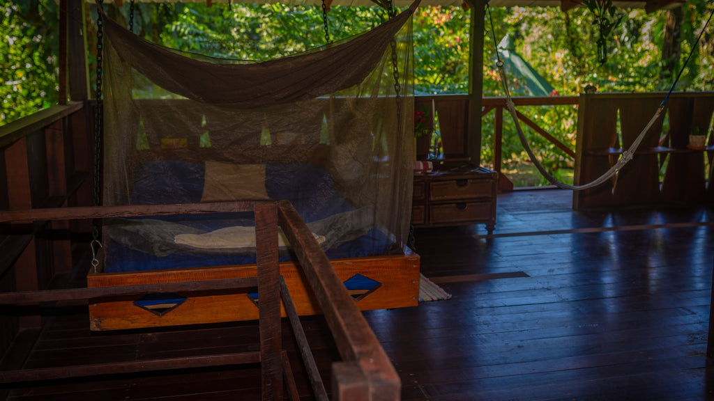 Casa Jungla December 2-8, 2026
