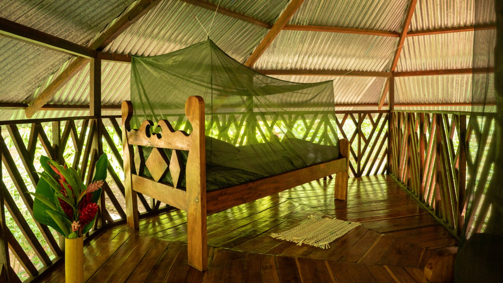 Ranchito Amapola December 2-8, 2026