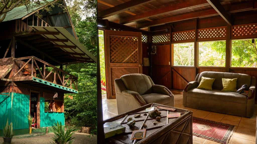 Casa Jungla December 2-8, 2026